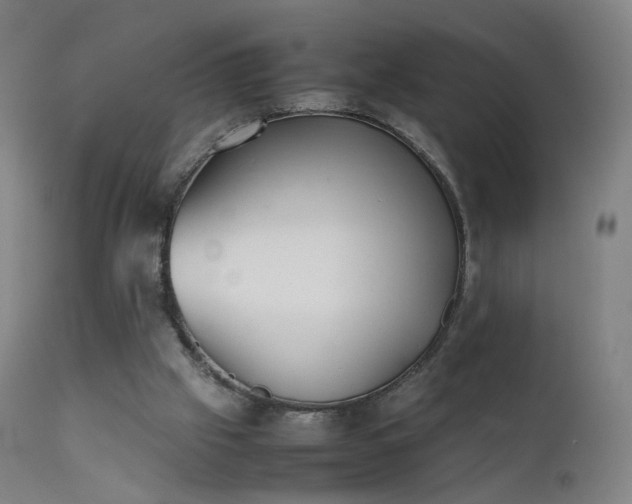 X0000111370057200907171208