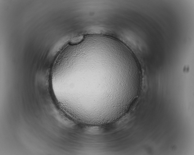 X0000111370058200907171208