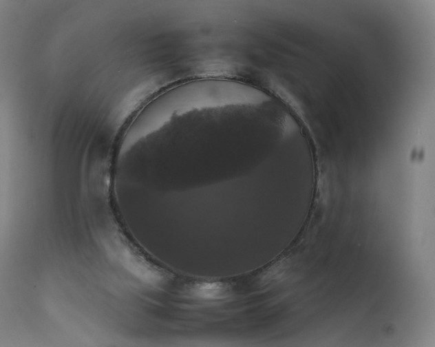 X0000111370059200907171208