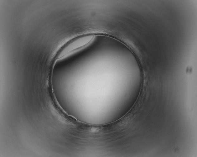 X0000111370060200907171208