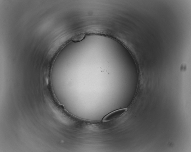 X0000111370062200907171208