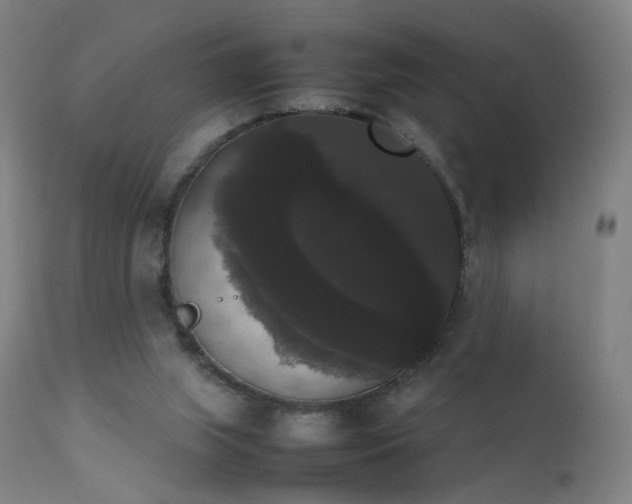 X0000111370063200907171208