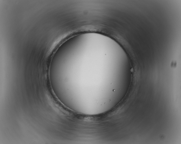 X0000111370064200907171209