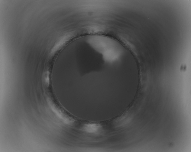 X0000111370067200907171209