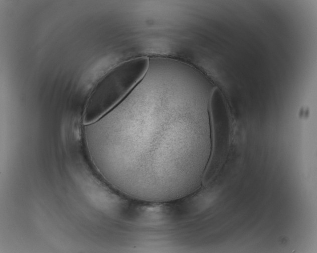 X0000111370068200907171209