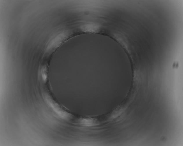 X0000111370069200907171209