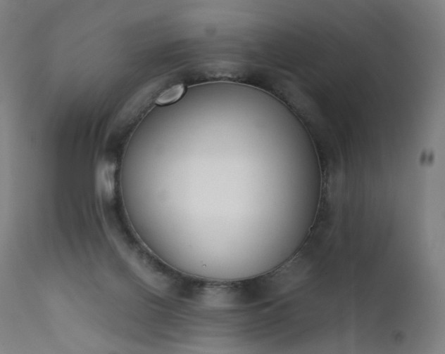 X0000111370070200907171209