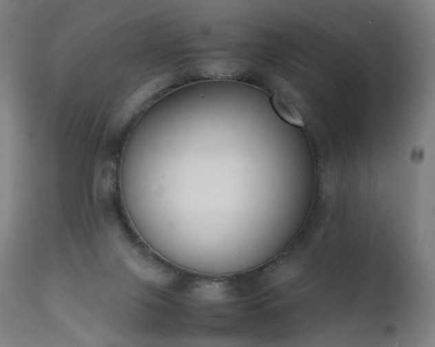 X0000111370071200907171209