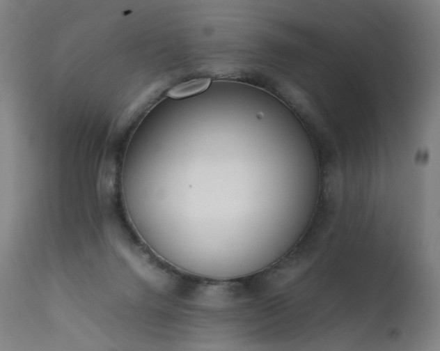 X0000111370072200907171209