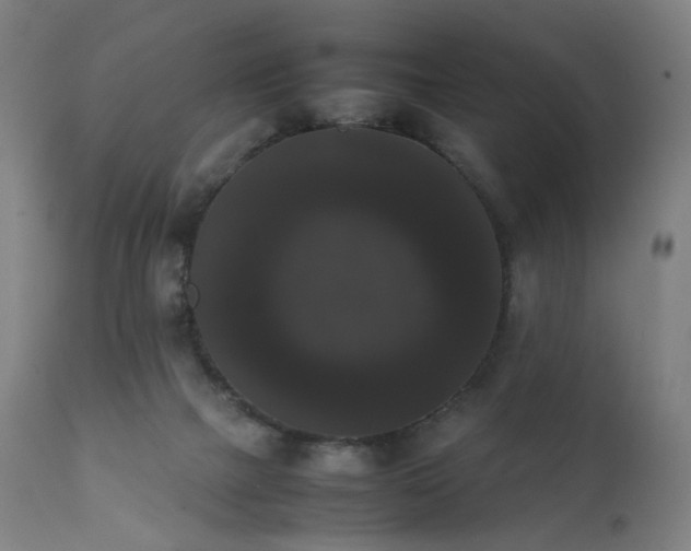 X0000111370073200907171209