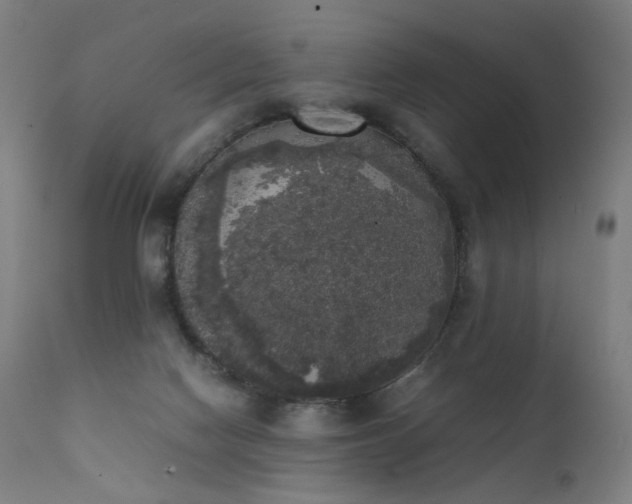 X0000111370074200907171209