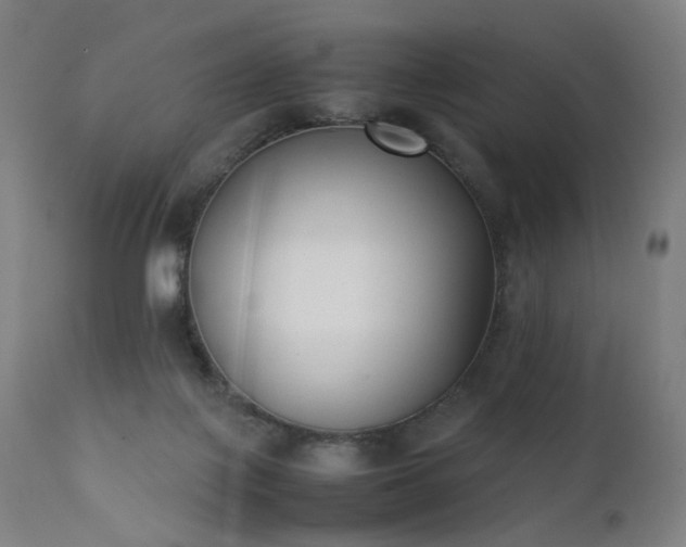 X0000111370075200907171209