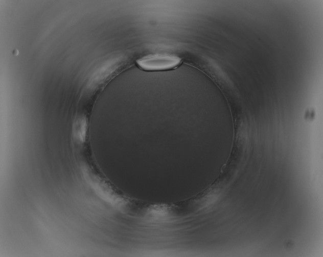 X0000111370076200907171209