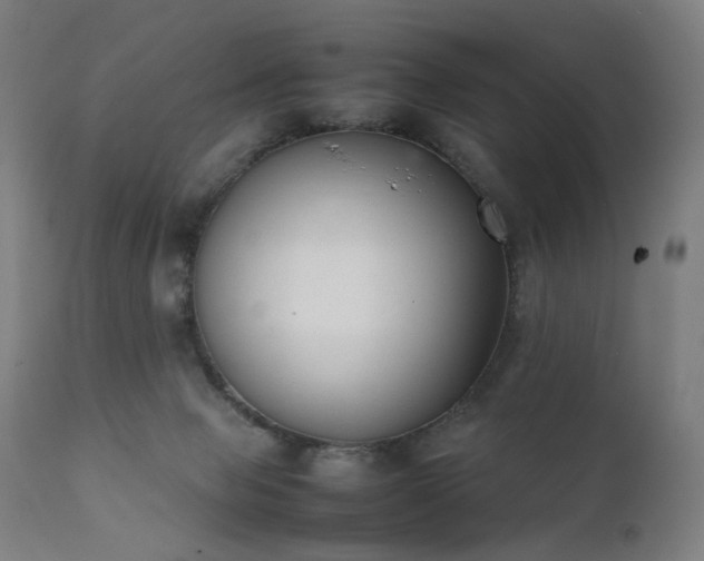 X0000111370077200907171209