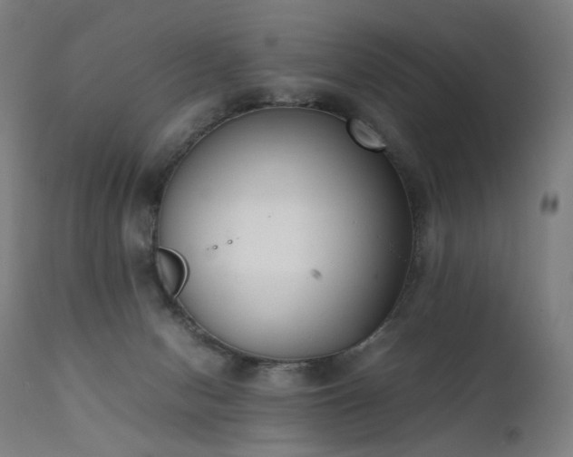 X0000111370078200907171209