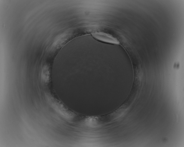 X0000111370080200907171209