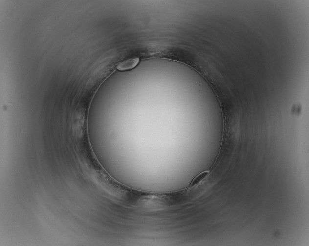 X0000111370082200907171209