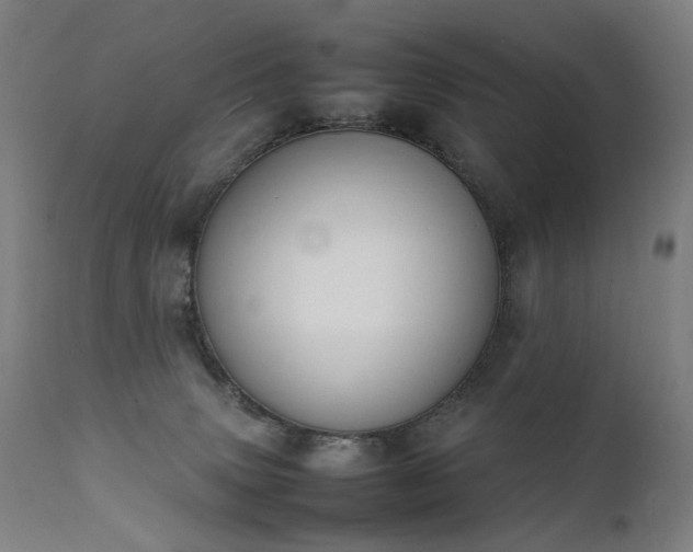 X0000111370083200907171209