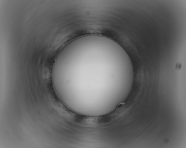 X0000111370084200907171209