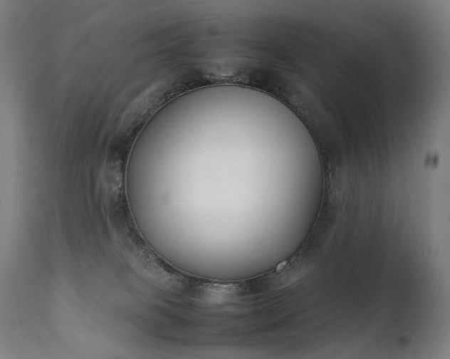 X0000111370085200907171209