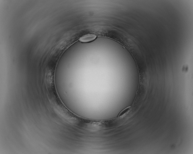 X0000111370086200907171209