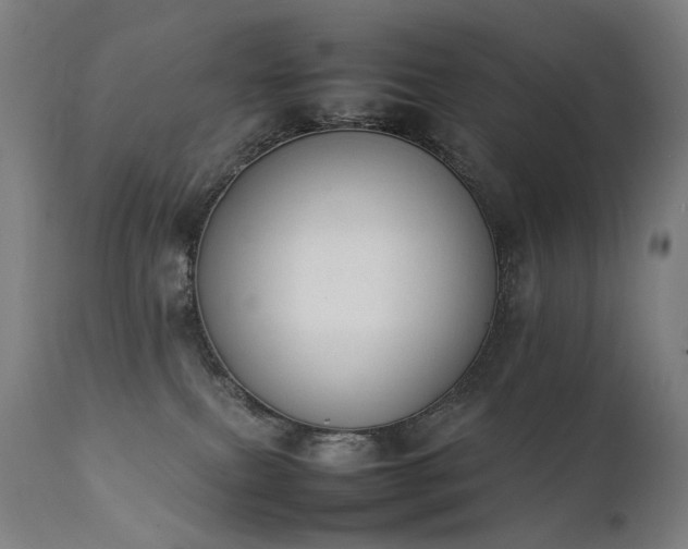 X0000111370087200907171209