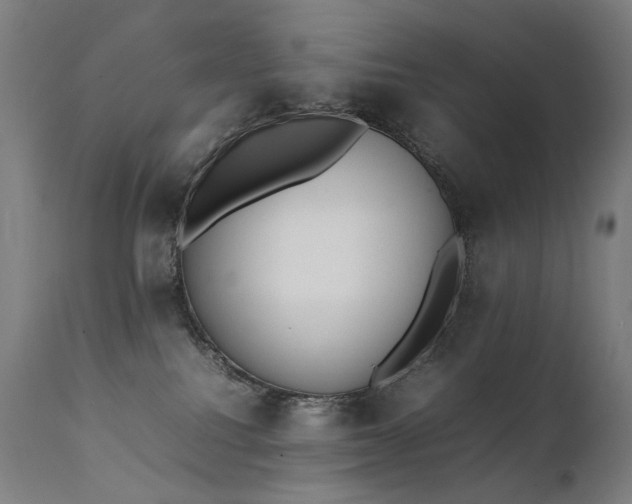 X0000111370088200907171209