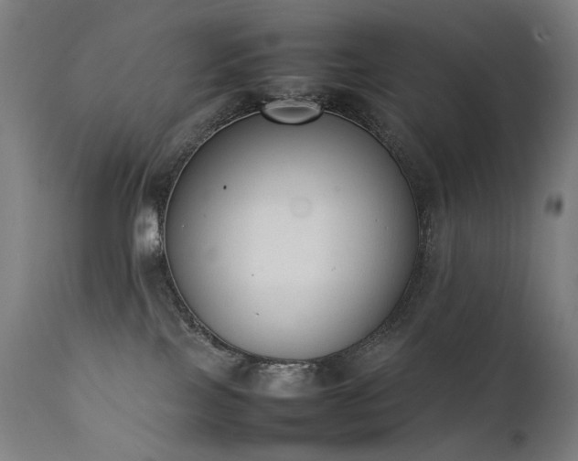 X0000111370089200907171209