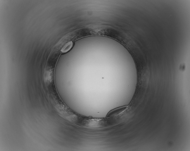 X0000111370090200907171209