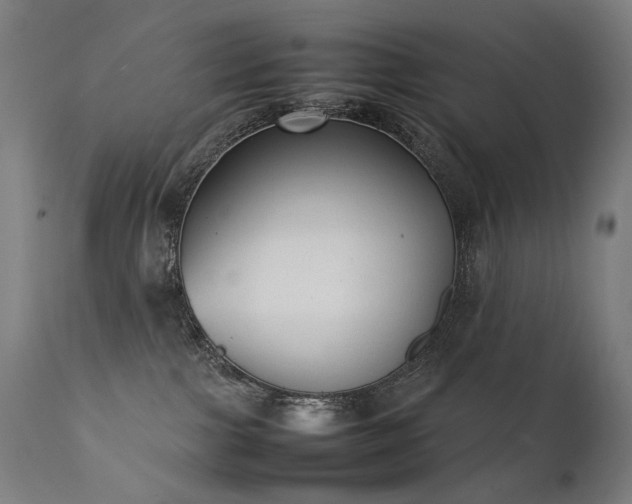 X0000111370091200907171209