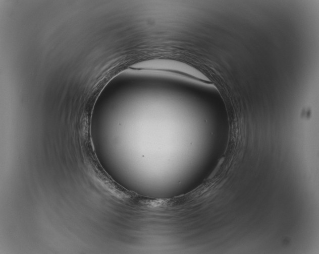 X0000111370092200907171209