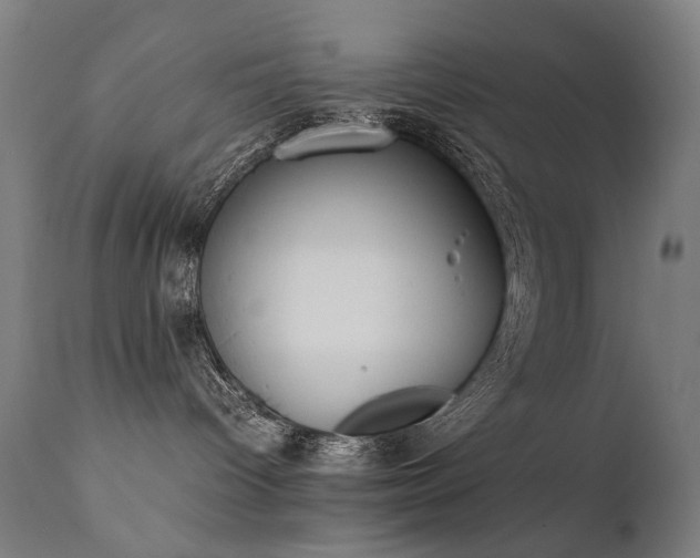 X0000111370096200907171209