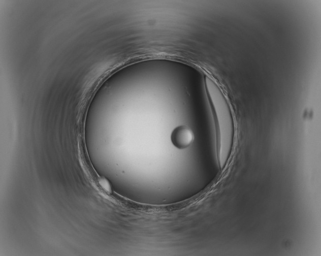 X0000111370097200907171208