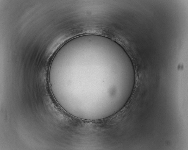 X0000111370098200907171208