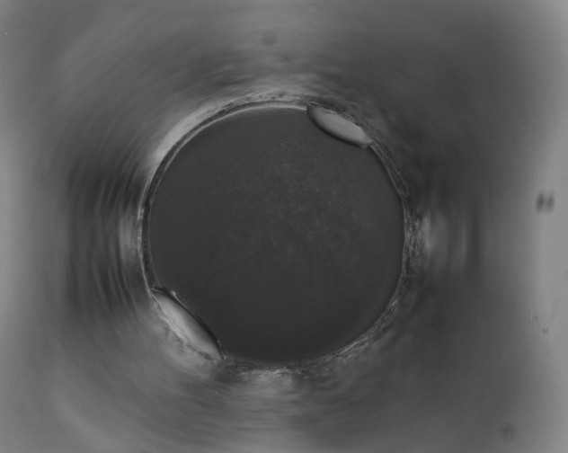 X0000111370100200907171208