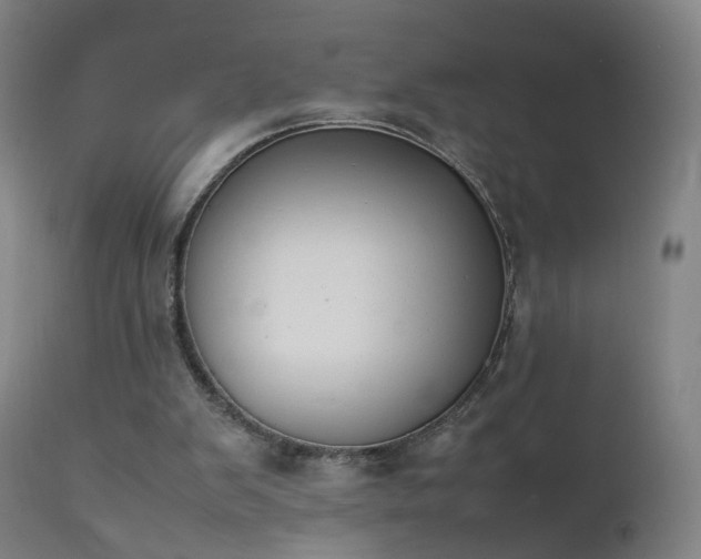 X0000111370103200907171208