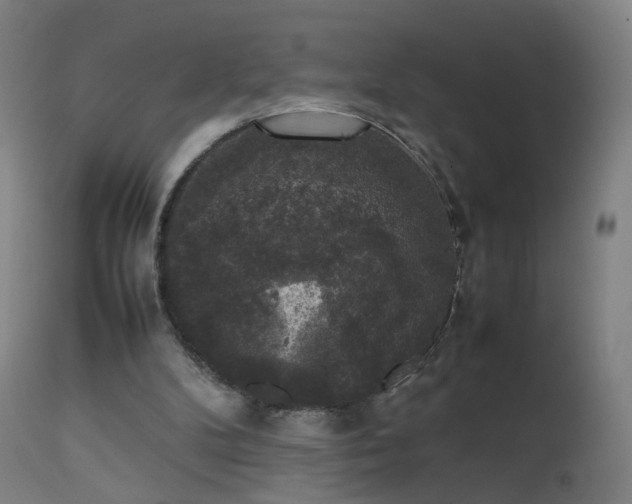 X0000111370104200907171208