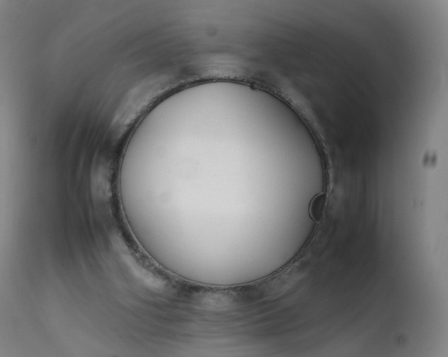 X0000111370106200907171208