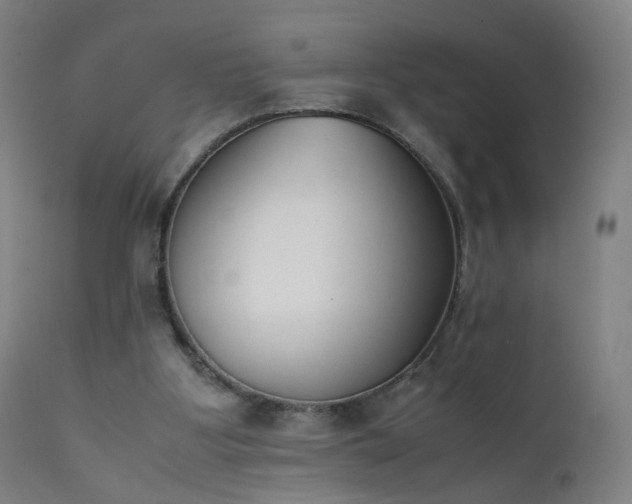 X0000111370107200907171208