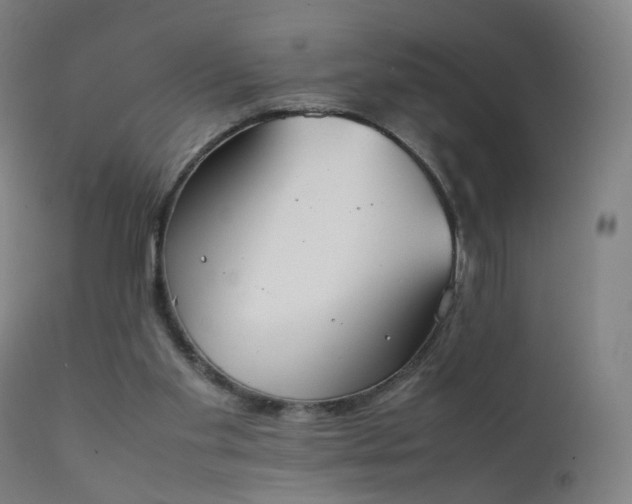 X0000111370109200907171208