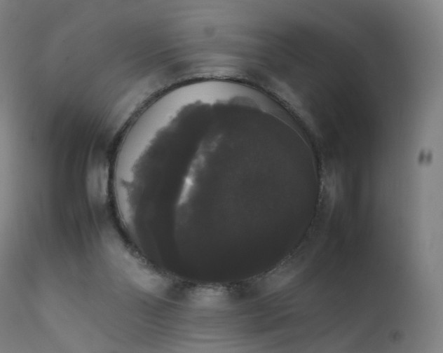 X0000111370110200907171208