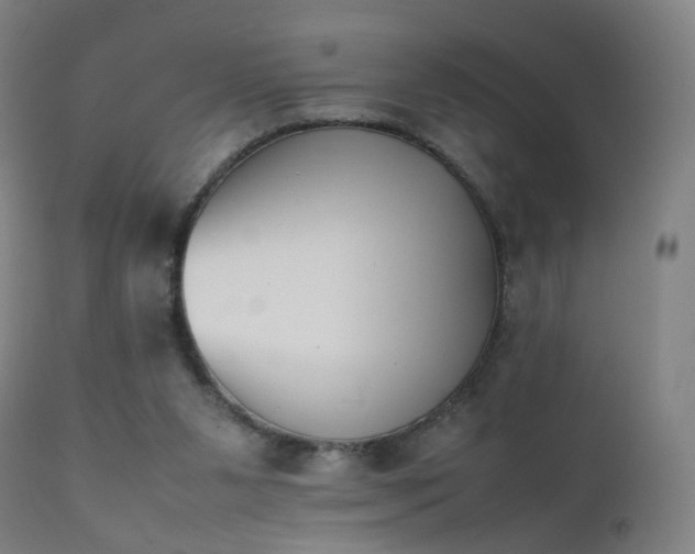 X0000111370111200907171208