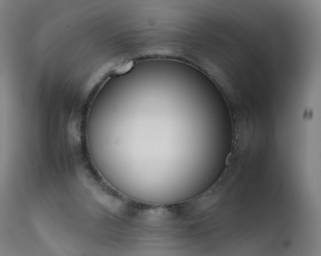 X0000111370112200907171208