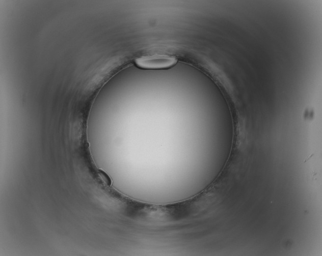 X0000111370113200907171208