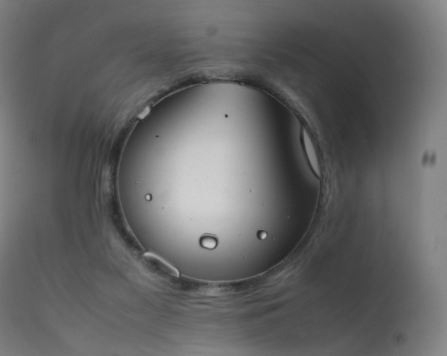 X0000111370117200907171208