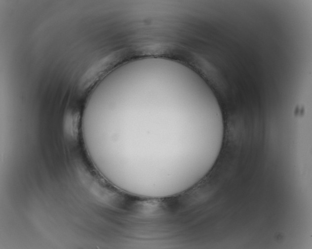 X0000111370118200907171208