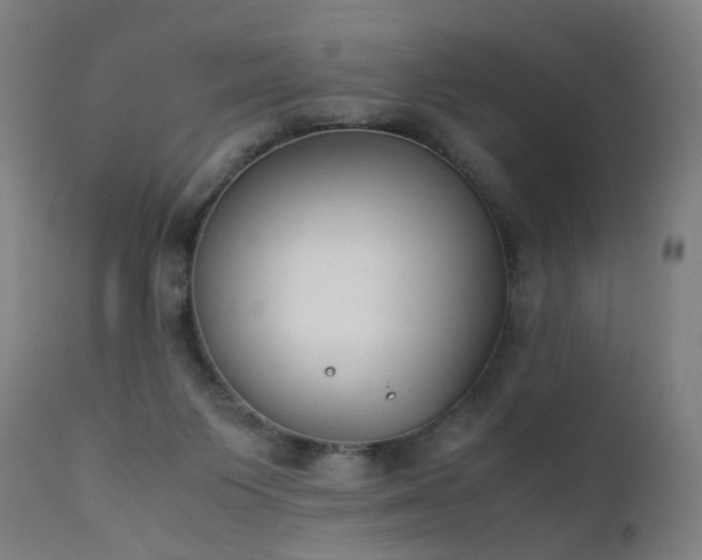 X0000111370119200907171208