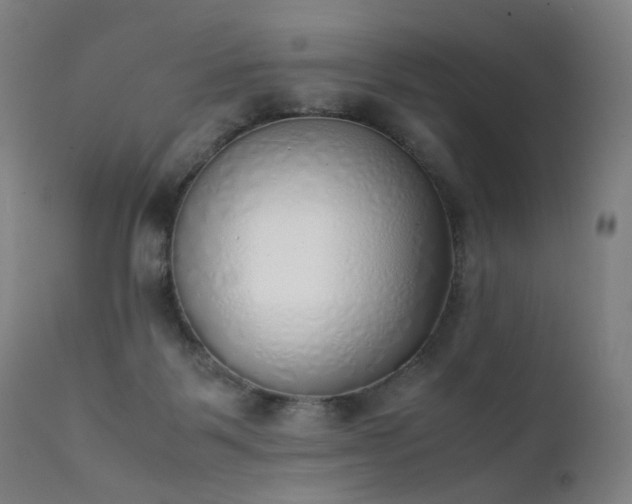 X0000111370123200907171208