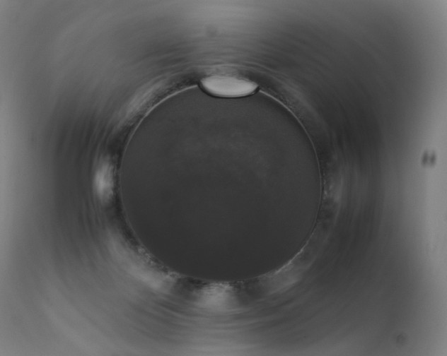 X0000111370124200907171208