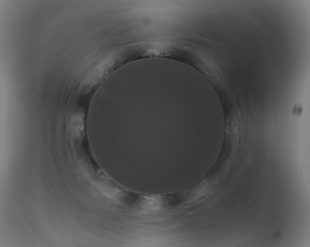 X0000111370127200907171208